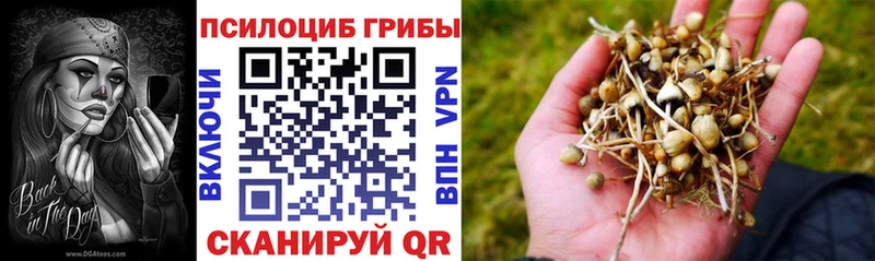 Псилоцибиновые грибы Psilocybe  мега ТОР  Калининск 